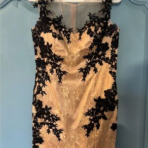 Elegant Black and Cream Lace Dress